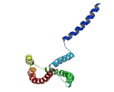 Ribosomal Protein S6 (RPS6)