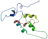 Ribosomal RNA Adenine Dimethylase Domain Containing Protein 1 (RRNAD1)