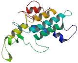 Ring Finger Protein, Transmembrane 2 (RNFT2)