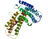Ring Finger Protein 169 (RN<b>F169</b>)