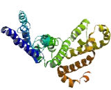 Ring Finger Protein 207 (RN<b>F207</b>)