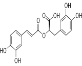 Rosmarinic Acid (RA)