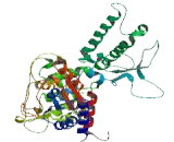 SEC1 Family Domain Containing Protein 2 (SCFD2)