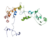 SERTA Domain Containing Protein 4 (SERTAD4)