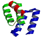 SH2 Domain Binding Protein 1 (SH2BP1)