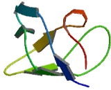 SH3 And Cysteine Rich Domain Protein (STAC)