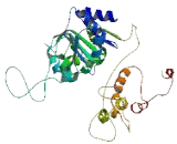 SNF2 Histone Linker PHD RING Helicase (SHPRH)