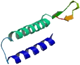 STARD3 N-Terminal Like Protein (STARD3NL)
