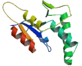 SWT1 RNA Endoribonuclease Homolog (SWT1)