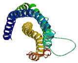 Schwannomin Interacting Protein 1 (SCHIP1)