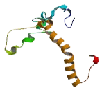 Secretory Carrier Membrane Protein 1 (SCAMP1)