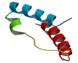 Selectin Ligand Interactor Cytoplasmic 1 (SLIC1)