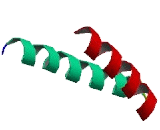 Serine/Arginine Repetitive Matrix Protein 3 (SRRM3)