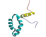 Sex Determining Region Y Box Protein 7 (SOX7)