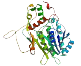 Short Chain Dehydrogenase/Reductase Family 42E, Member 2 (SDR42E2)