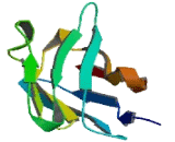 Signaling Lymphocytic Activation Molecule Family, Member 8 (SLAMF8)