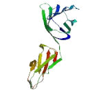 Signaling Lymphocytic Activation Molecule Family, Member 9 (SLAMF9)