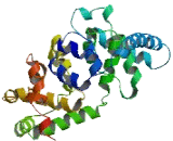 Small G Protein Signaling Modulator 2 (SGSM2)