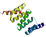 Small Glutamine Rich Tetratricopeptide Repeat Containing Protein Alpha (SGTa)