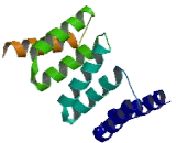 Small Glutamine Rich Tetratricopeptide Repeat Containing Protein Beta (SGTb)