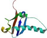 Small Nuclear Ribonucleoprotein 25kDa (SNRNP25)