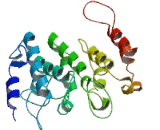 Sperm Acrosome Associated Protein 1 (SPACA1)
