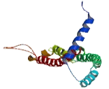 Spermatogenesis Associated Protein 18 (SPATA18)