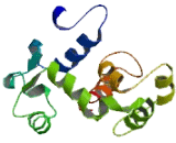 Sterile Alpha Motif Domain Containing Protein 10 (SaMD10)