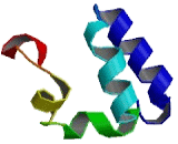 Sterile Alpha Motif Domain Containing Protein 3 (SaMD3)