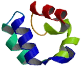 Sterile Alpha Motif Domain Containing Protein 7 (SaMD7)
