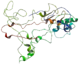 Stromal Antigen 1 (STAG1)