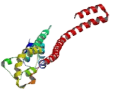 Synaptonemal Complex Protein 3 (SYCP3)