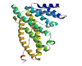 Synaptosomal Associated Protein 91kDa (SNAP91)