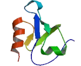 Syntaxin Binding Protein 4 (STXBP4)
