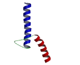 T-Cell Acute Lymphocytic Leukemia Protein 2 (TAL2)