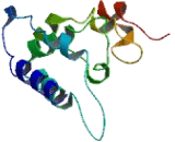 T-Cell Receptor Associated Transmembrane Adaptor 1 (TRAT1)