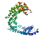 T Complex Protein 11 (TCP11)