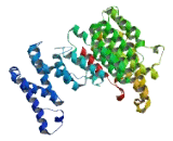T Complex Protein 11 Like Protein 2 (TCP11L2)