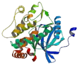Thousand And One Amino Acid Protein Kinase 2 (TAOK2)