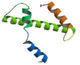 TATA Box Binding Protein Associated Factor 11 (TAF11)