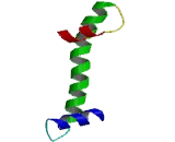 TATA Box Binding Protein Associated Factor 8 (TAF8)