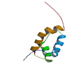 TGFB Induced Factor Homeobox 2 Like Protein, Y-Linked (TGIF2LY)