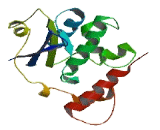 TP53RK Binding Protein (TPRKB)