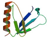 TRIO And F Actin Binding Protein (TRIOBP)