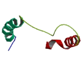 TYRO Protein Tyrosine Kinase Binding Protein (TYROBP)