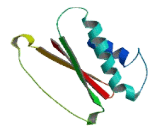 Tctex1 Domain Containing Protein 2 (TCTEX1D2)