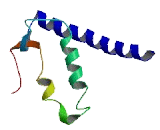 Tctex1 Domain Containing Protein 4 (TCTEX1D4)