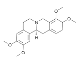 Tetrahydropalmatine (THP)