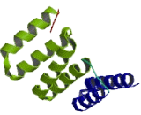 Tetratricopeptide Repeat Domain Protein 12 (TTC12)