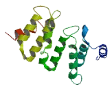 Tetratricopeptide Repeat Domain Protein 19 (TTC19)